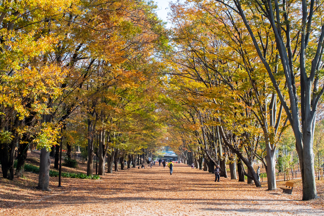 鶴間公園（町田市）