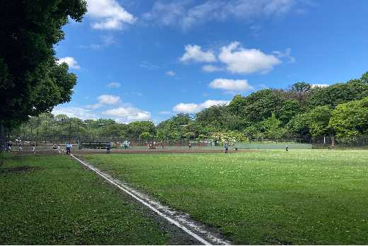 神奈川県立三ツ池公園（横浜市）