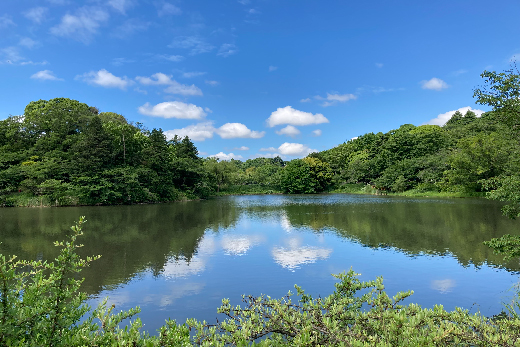 神奈川県立三ツ池公園（横浜市）