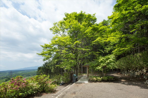 冨士霊園