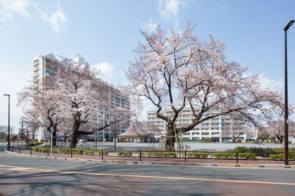 東大和向原3丁目団地