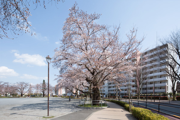 東大和向原3丁目団地