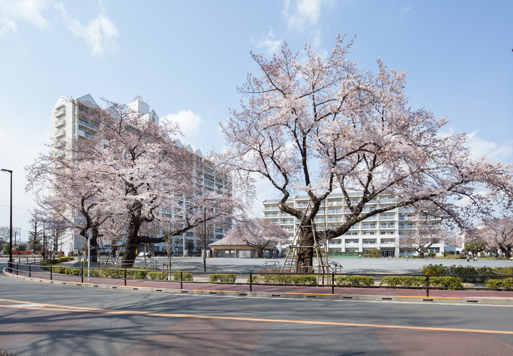 東大和向原3丁目団地